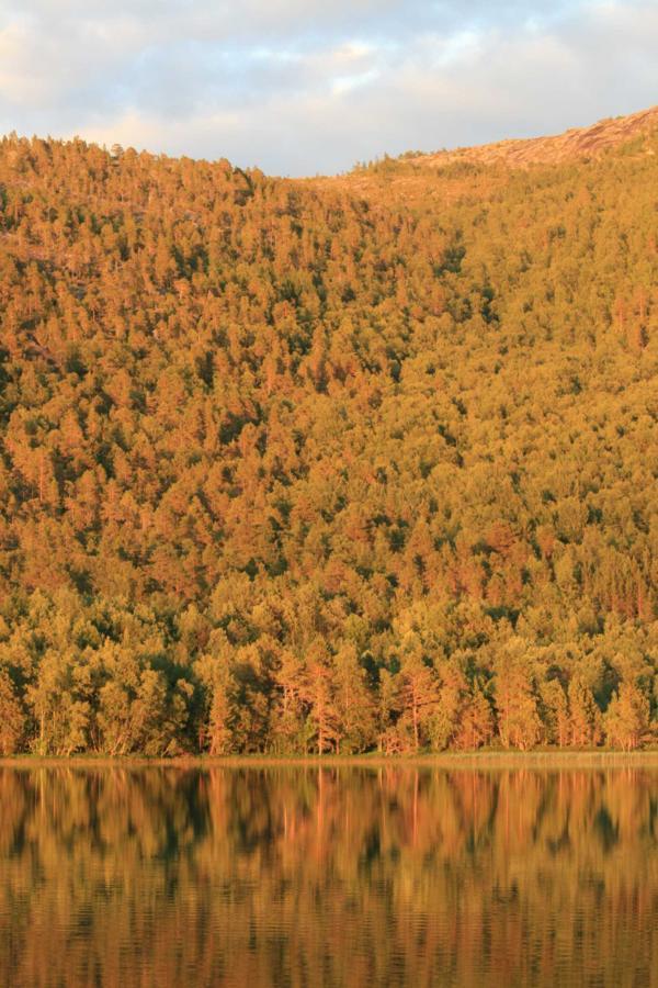 Tommerneset Camping 호텔 Innhavet 외부 사진